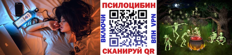 Галлюциногенные грибы Cubensis  продажа наркотиков  Зуевка 